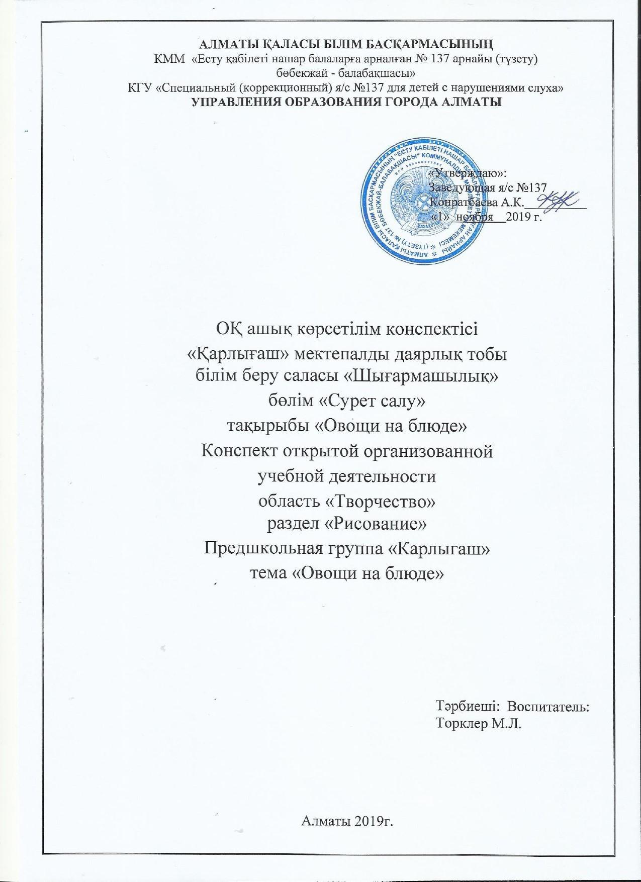 Конспект организованной учебной деятельности